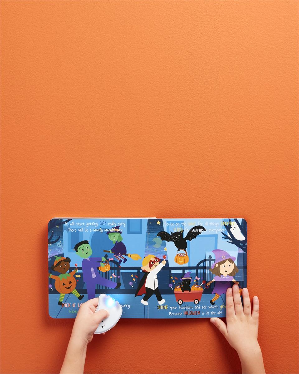 Halloween Boo Flashlight Book