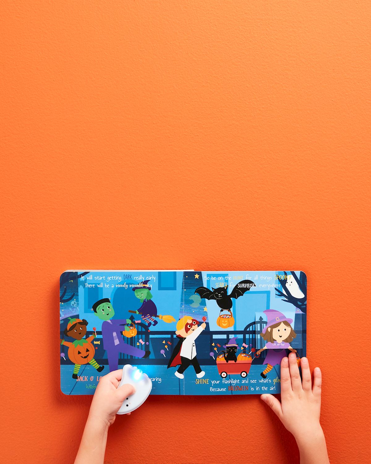 Halloween Boo Flashlight Book