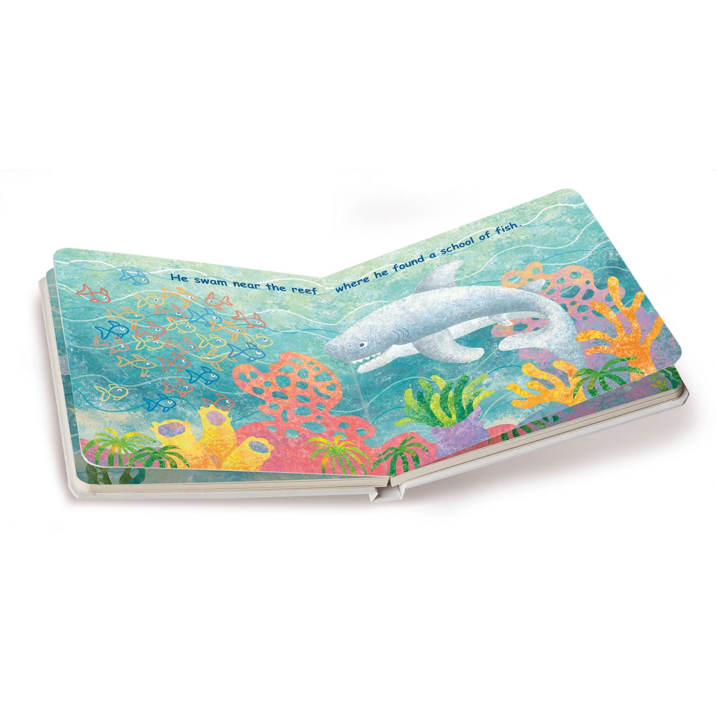 “Sharkie & the Fearless Fish” Large Board Book