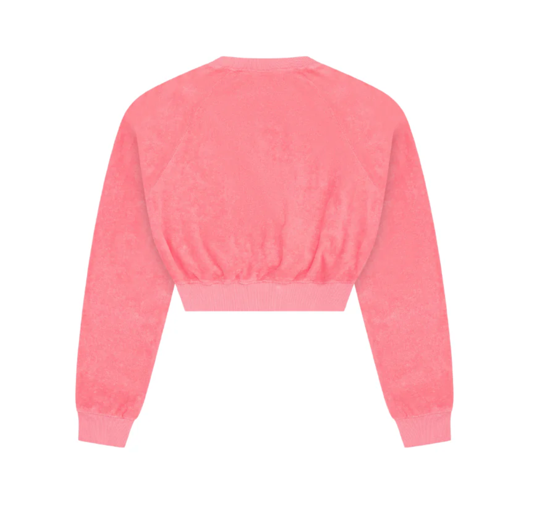 Terry Cloth Cropped Sweatshirt