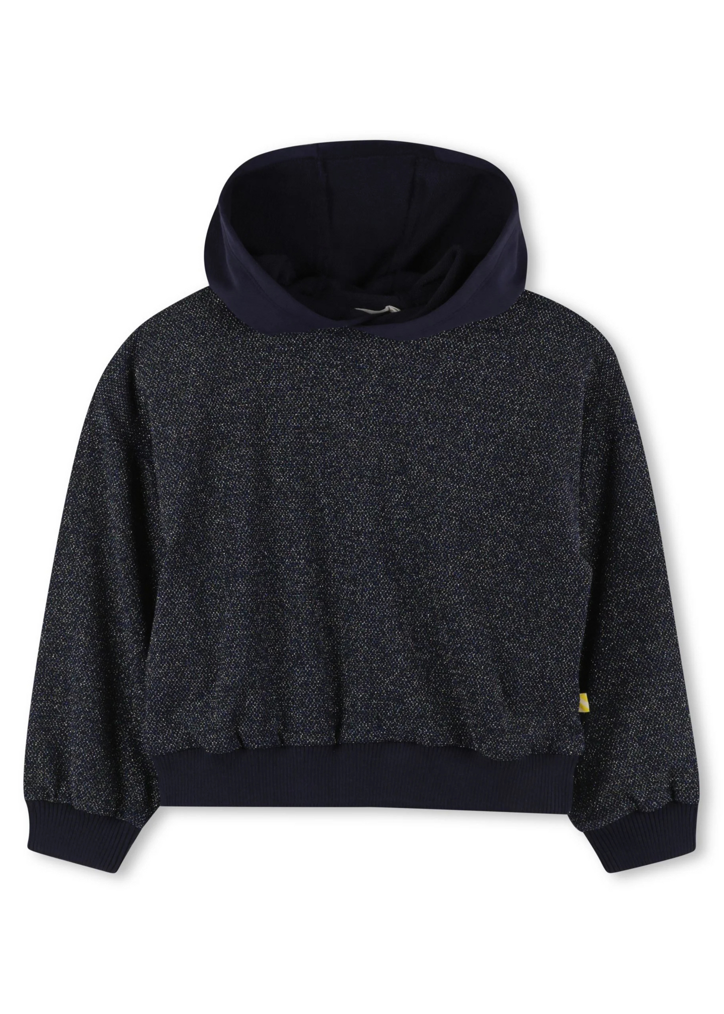 Shiny Hooded Sweatshirt