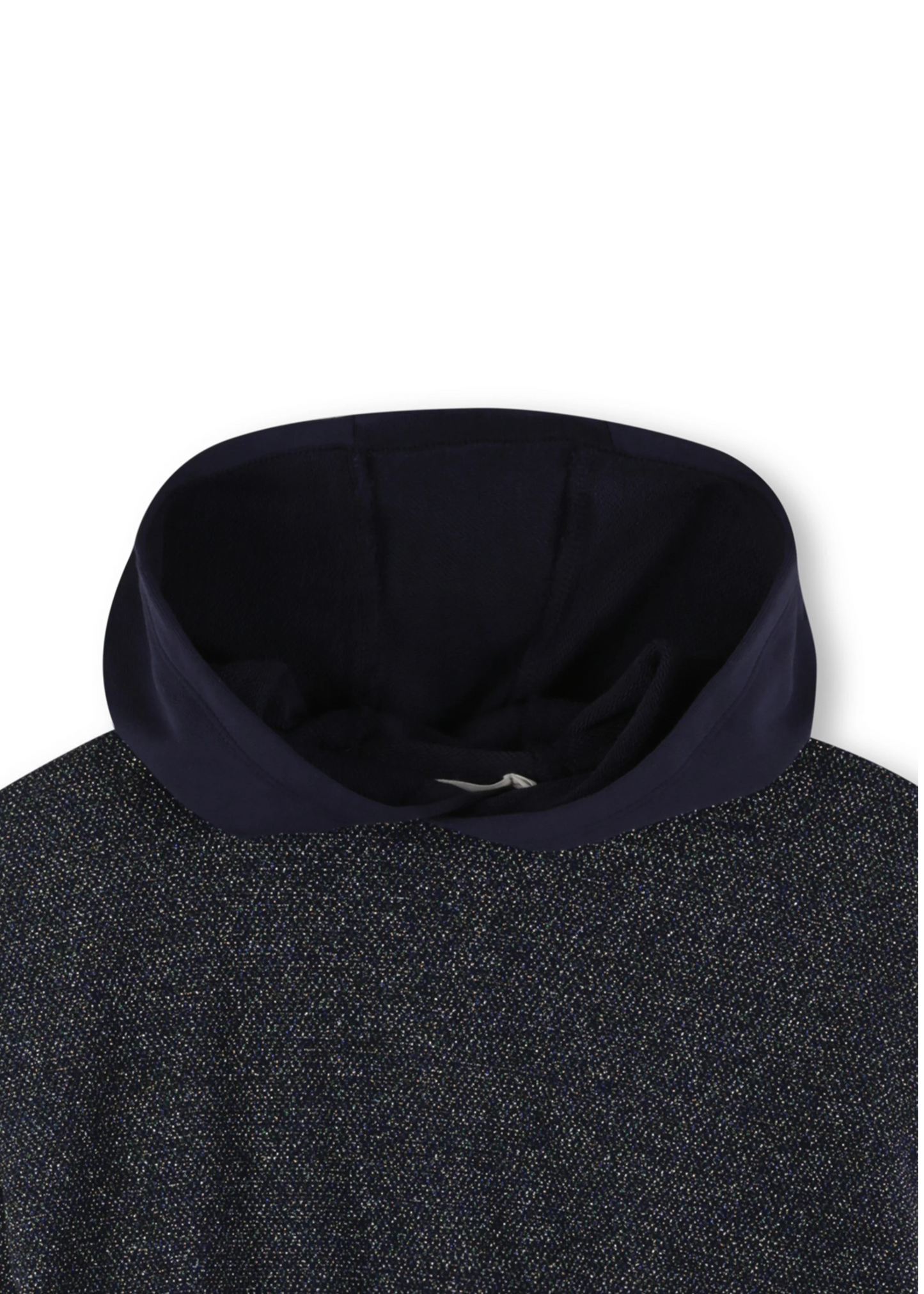 Shiny Hooded Sweatshirt