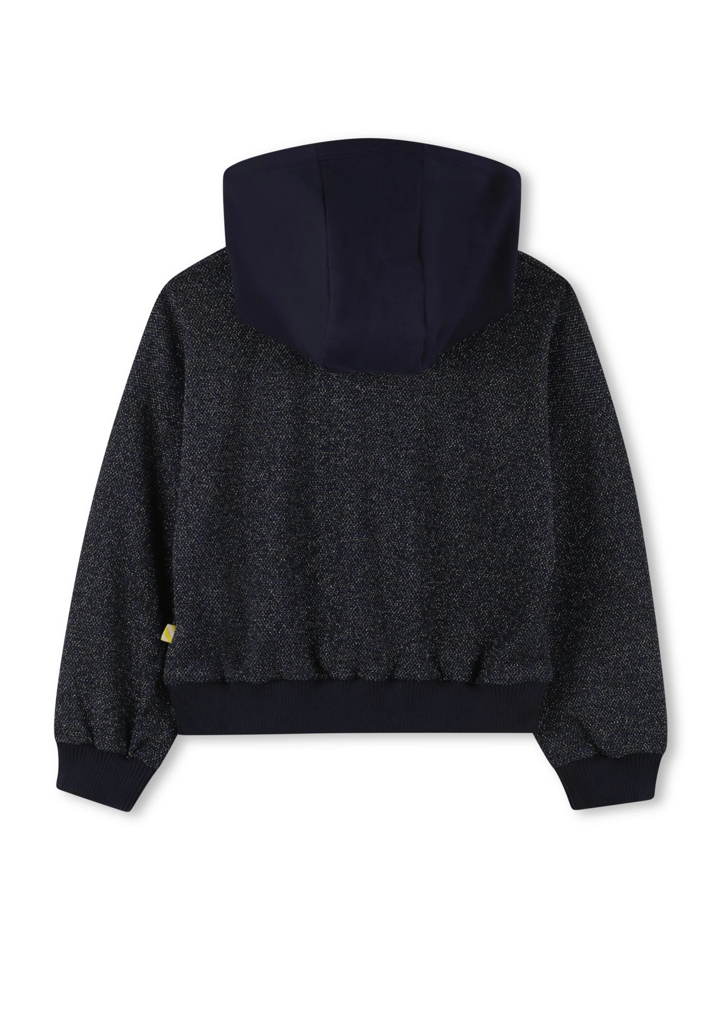 Shiny Hooded Sweatshirt