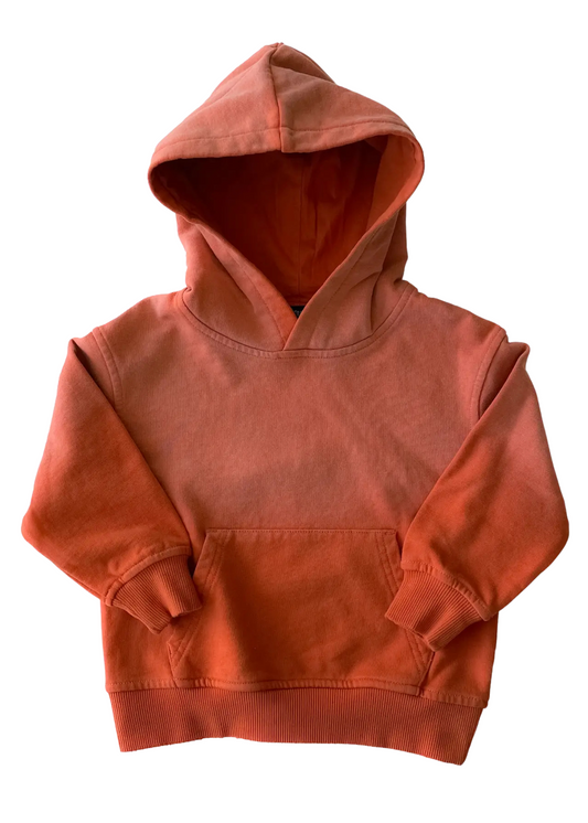 Sun-Faded Hoodie