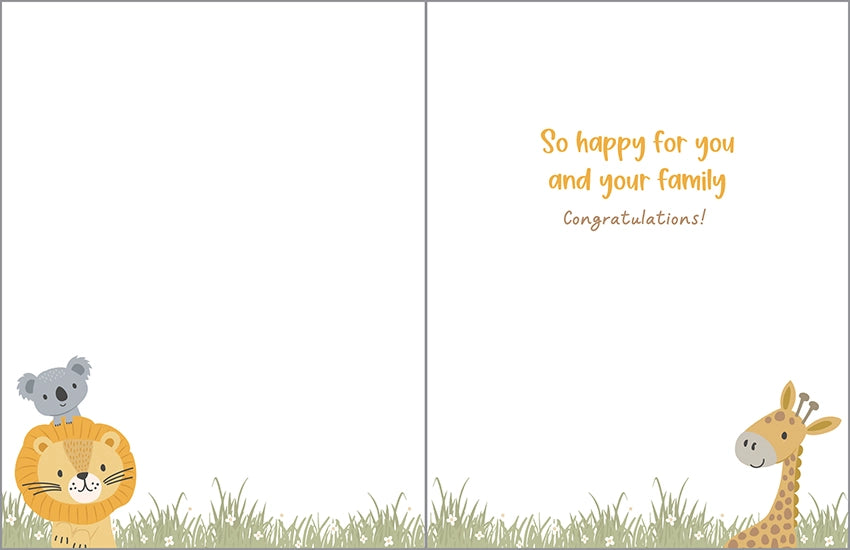 Baby Greeting Card- Animal Hammock