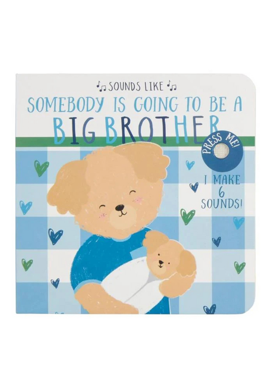 Big Bro Sounds Book