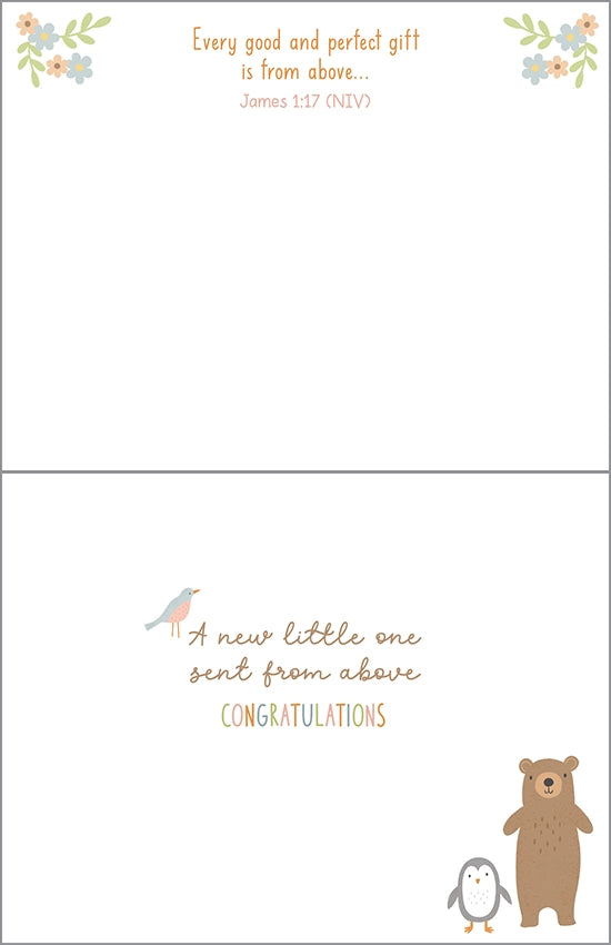 Scripture Baby Greeting Card - Animal Hello