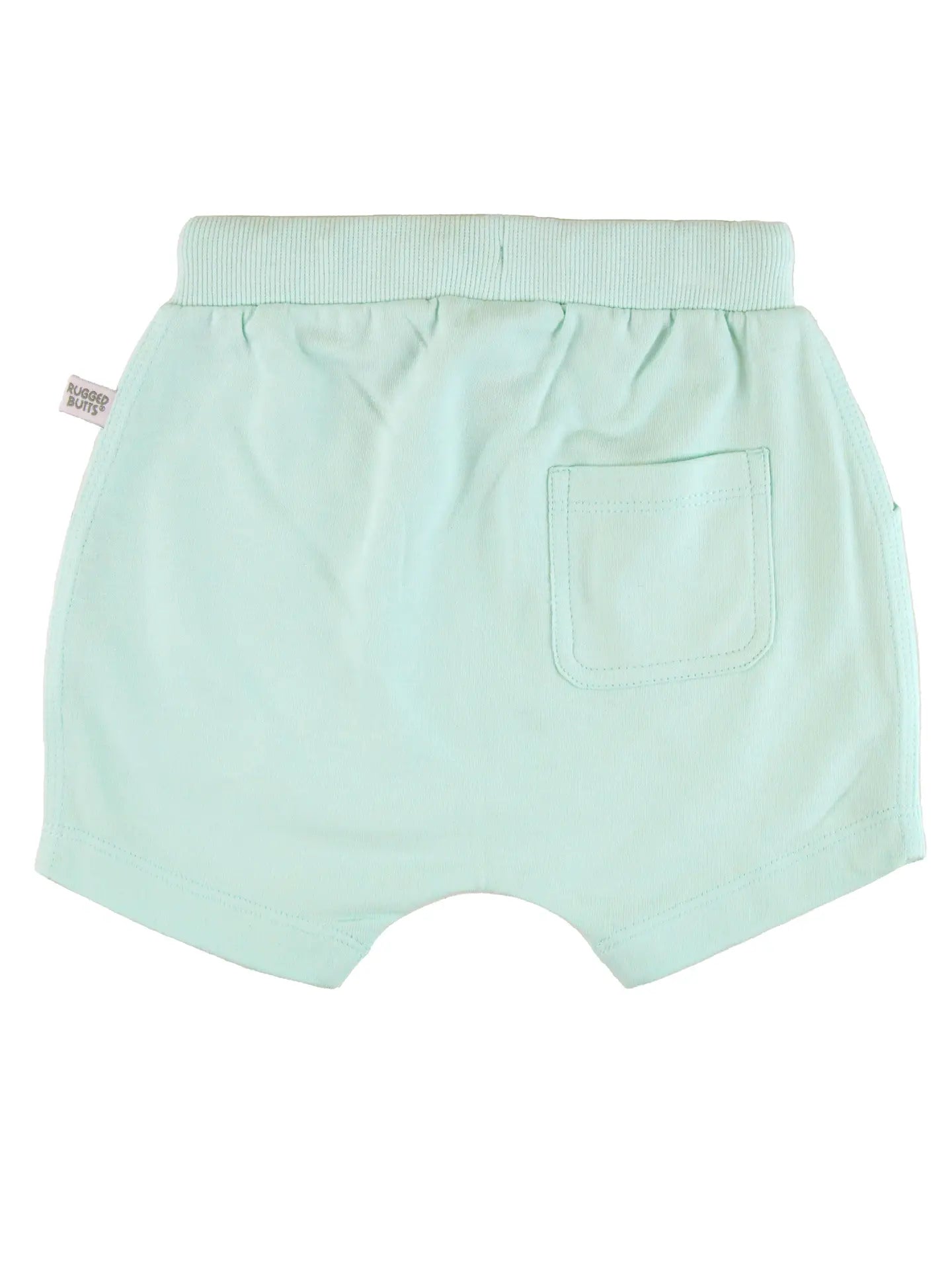 Boys Light Aqua Jogger Shorts