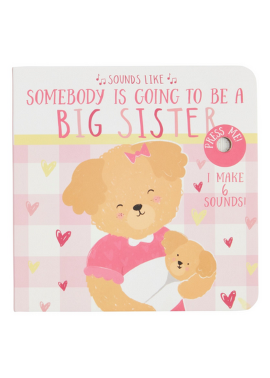 Sounds Like Big Sister Book