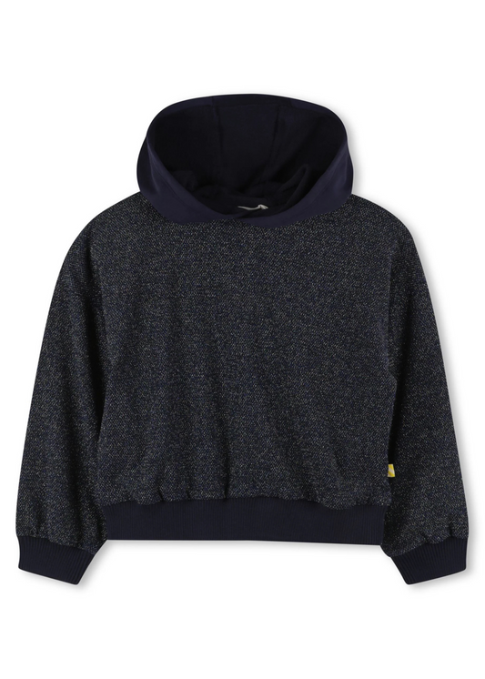 Shiny Hooded Sweatshirt