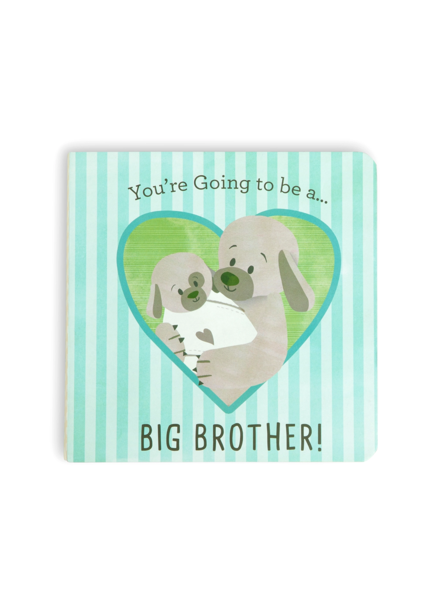 You're Going To Be a Big Brother Book