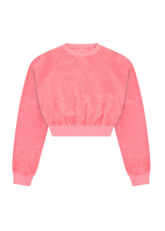 Terry Cloth Cropped Sweatshirt